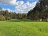 136 Otooles Road, Wild Dog Valley, Vic 3953-Image