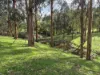 136 Otooles Road, Wild Dog Valley, Vic 3953-Image