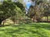 136 Otooles Road, Wild Dog Valley, Vic 3953-Image
