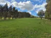 136 Otooles Road, Wild Dog Valley, Vic 3953-Image