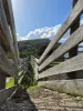 136 Otooles Road, Wild Dog Valley, Vic 3953-Image