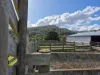136 Otooles Road, Wild Dog Valley, Vic 3953-Image