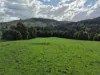 136 Otooles Road, Wild Dog Valley, Vic 3953-Image