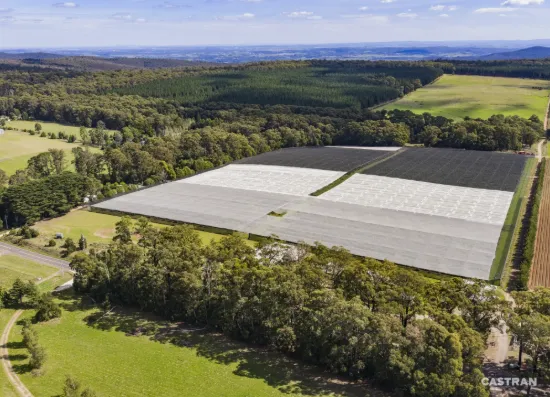 1363 Whittlesea Yea Road, Kinglake West, Vic 3757