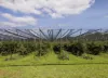 1363 Whittlesea Yea Road, Kinglake West, Vic 3757-Image
