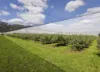 1363 Whittlesea Yea Road, Kinglake West, Vic 3757-Image