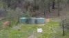 1368 Carboor-Everton Road, Bobinawarrah, Vic 3678-Image