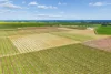 139 Chapel Road, Cobram East, Vic 3644-Image