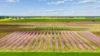 139 Chapel Road, Cobram East, Vic 3644-Image