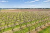 139 Chapel Road, Cobram East, Vic 3644-Image