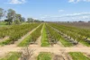 139 Chapel Road, Cobram East, Vic 3644-Image