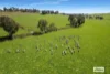 139 Wedge Gully Road, Redesdale, Vic 3444-Image