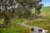 139 Wedge Gully Road, Redesdale, Vic 3444-Image