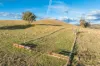 14 Packs Grant Road, Cowra, NSW 2794-Image