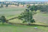 14 Packs Grant Road, Cowra, NSW 2794-Image