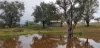 14 Packs Grant Road, Cowra, NSW 2794-Image