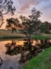 14 Packs Grant Road, Cowra, NSW 2794-Image