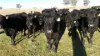 14 Packs Grant Road, Cowra, NSW 2794-Image