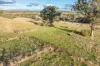14 Packs Grant Road, Cowra, NSW 2794-Image