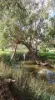 14 Packs Grant Road, Cowra, NSW 2794-Image