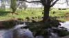 14 Packs Grant Road, Cowra, NSW 2794-Image