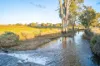 14 Packs Grant Road, Cowra, NSW 2794-Image