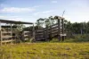 14112 Pacific Highway, Nabiac NSW 2312-Image