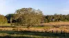14112 Pacific Highway, Nabiac NSW 2312-Image