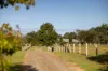14112 Pacific Highway, Nabiac NSW 2312-Image
