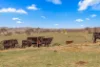 1414 Mid Western Highway, Bathurst, NSW 2795