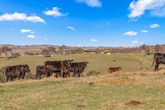 1414 Mid Western Highway, Bathurst, NSW 2795