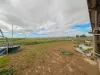 142 Walker Lane, Wakool, NSW 2710-Image
