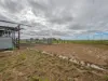 142 Walker Lane, Wakool, NSW 2710-Image
