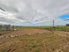 142 Walker Lane, Wakool, NSW 2710-Image