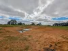142 Walker Lane, Wakool, NSW 2710-Image
