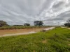 142 Walker Lane, Wakool, NSW 2710-Image