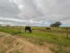 142 Walker Lane, Wakool, NSW 2710-Image