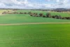 1431 Boyup Brook-Kojonup Road, Mayanup, WA 6244