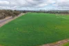 1431 Boyup Brook-Kojonup Road, Mayanup, WA 6244-Image