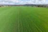 1431 Boyup Brook-Kojonup Road, Mayanup, WA 6244-Image