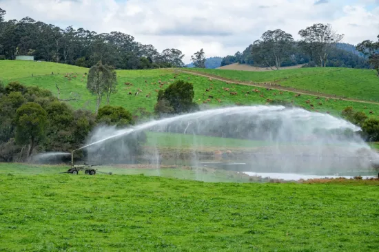 1431 Coramba Road, Dorrigo NSW 2453-Image