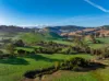 1431 Coramba Road, Dorrigo NSW 2453-Image