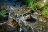 1431 Coramba Road, Dorrigo NSW 2453-Image