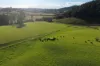1431 Coramba Road, Dorrigo NSW 2453-Image