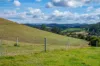 1431 Coramba Road, Dorrigo NSW 2453-Image