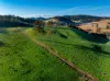 1431 Coramba Road, Dorrigo NSW 2453-Image
