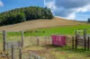 1431 Coramba Road, Dorrigo NSW 2453-Image
