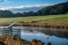 1431 Coramba Road, Dorrigo NSW 2453-Image