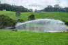 1431 Coramba Road, Dorrigo NSW 2453-Image