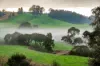 1431 Coramba Road, Dorrigo NSW 2453-Image